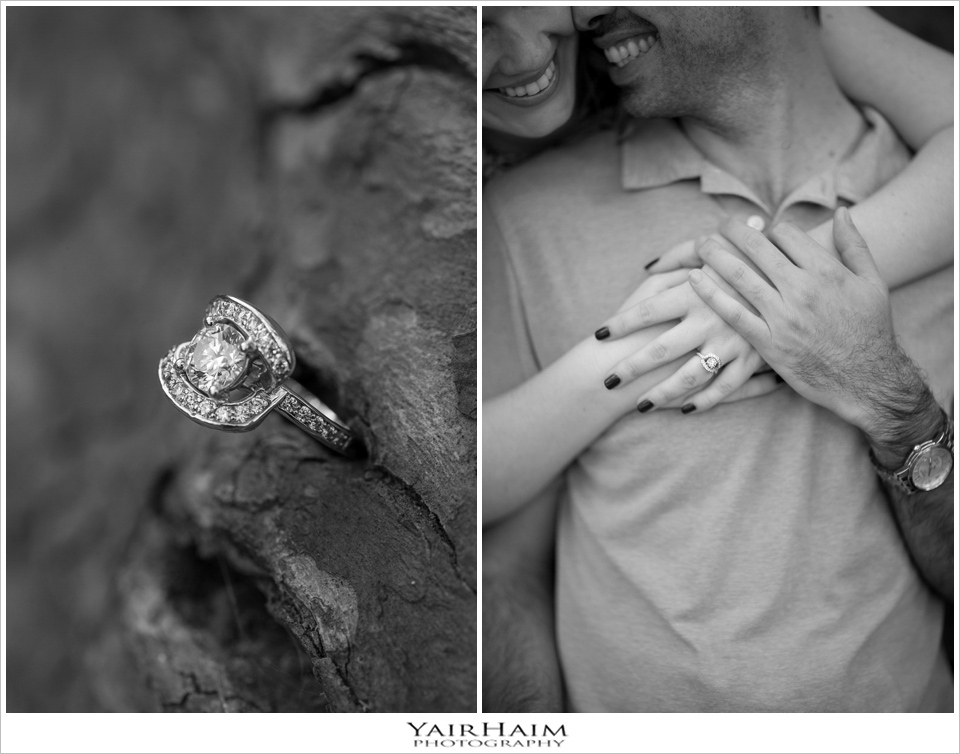 Santa-Barbara-engagement-pictures-pre-wedding-photo-shoot