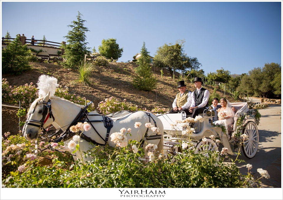 serendipity-garden-weddings-photos-Yair-Haim-19